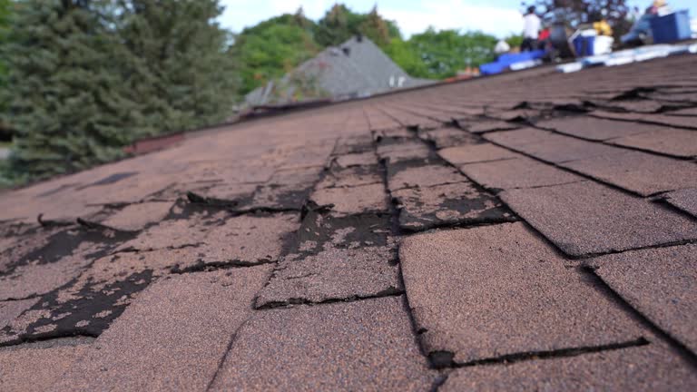 Roof Coating Services in Westwood, PA